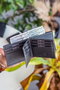 Zoozie Bags Cartera para Hombre en Piel Auténtica con Bloqueador RFID - Antracita